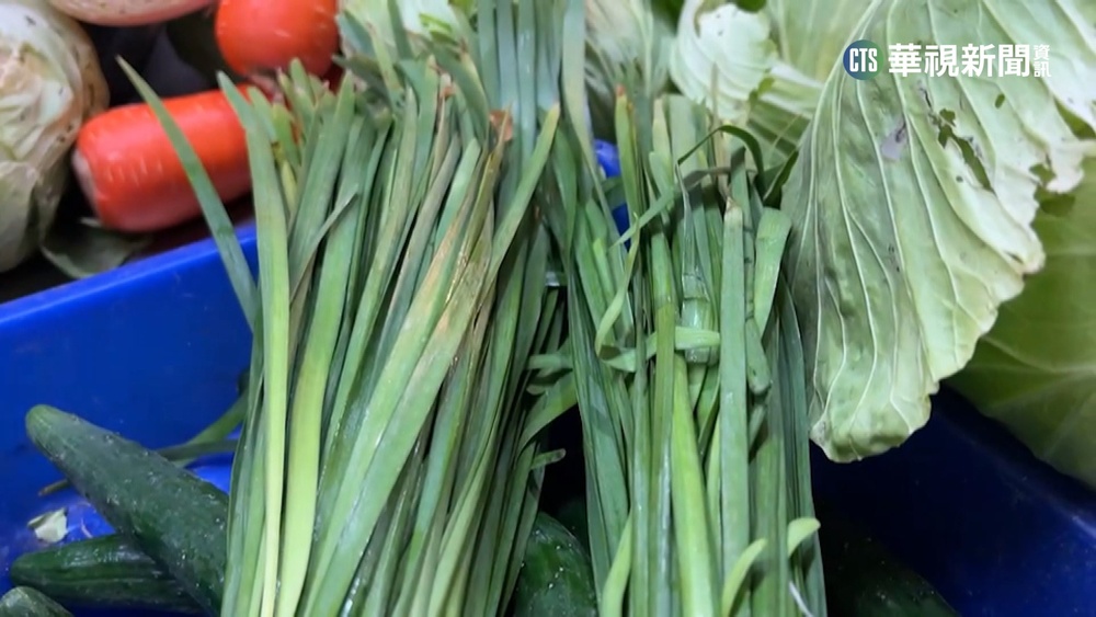 大缺貨! 韭菜批發價飆漲7成 每台斤120元