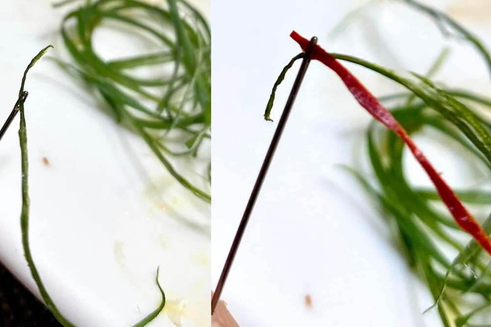 原PO真的將切好的蔥絲穿過針 / 圖片翻攝自 臉書社團「家常菜」