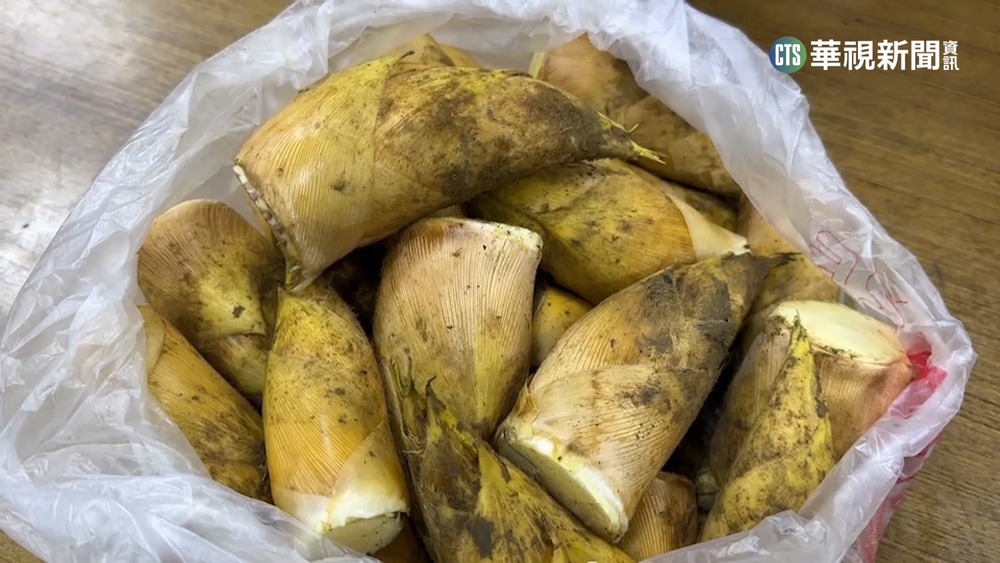 冬筍"一根難求" 價格翻漲每台斤要價400元