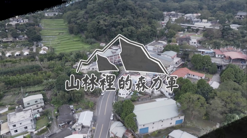 部落復興 共創林下經濟｜山林裡的森力軍｜華視新聞雜誌