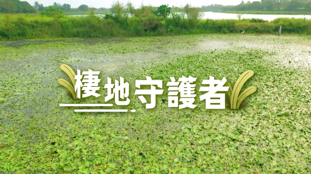 動物與農夫的共生日記｜棲地守護者｜華視新聞雜誌