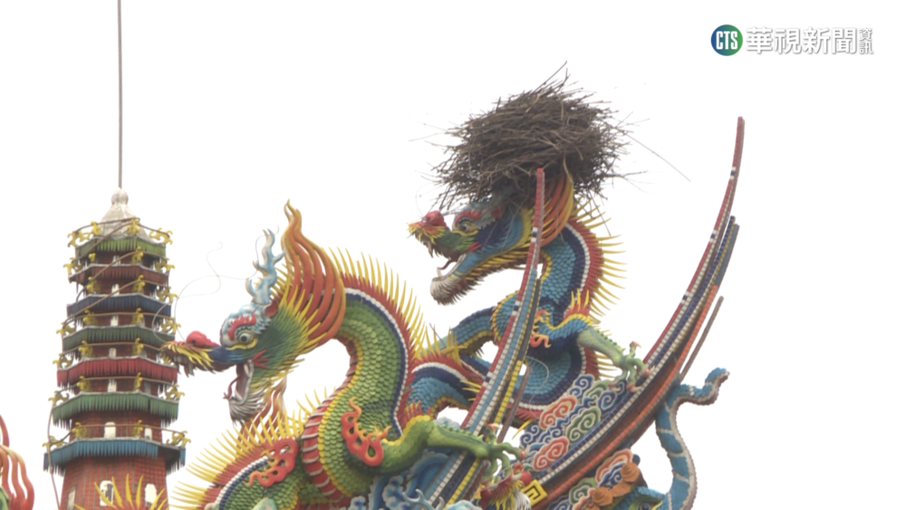 龍頭長頭髮? 苗栗宮廟屋頂祥龍"喜鵲築巢"