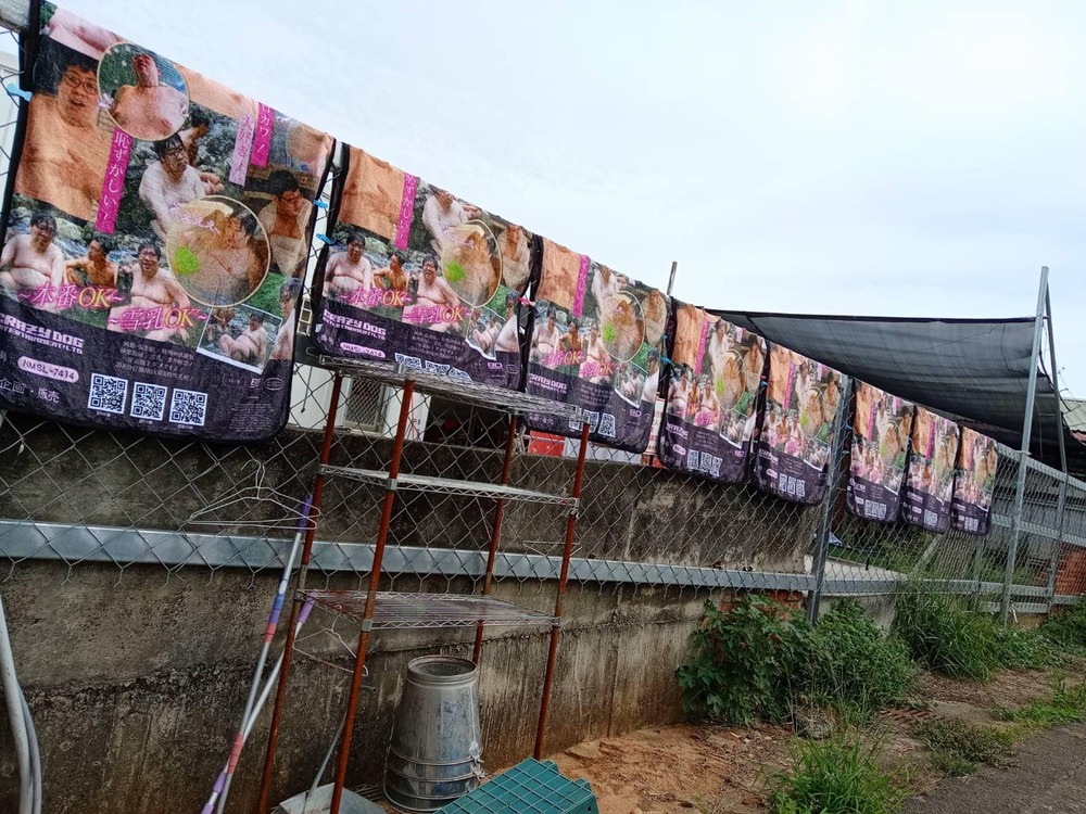 狗園收50條國動「限制級」毯 毛小孩們愛不釋手 衝擊畫面笑翻網