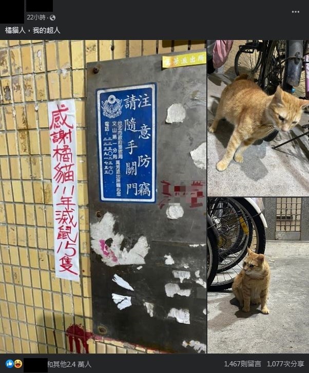 圖片翻攝自 臉書社團「路上觀察學院」