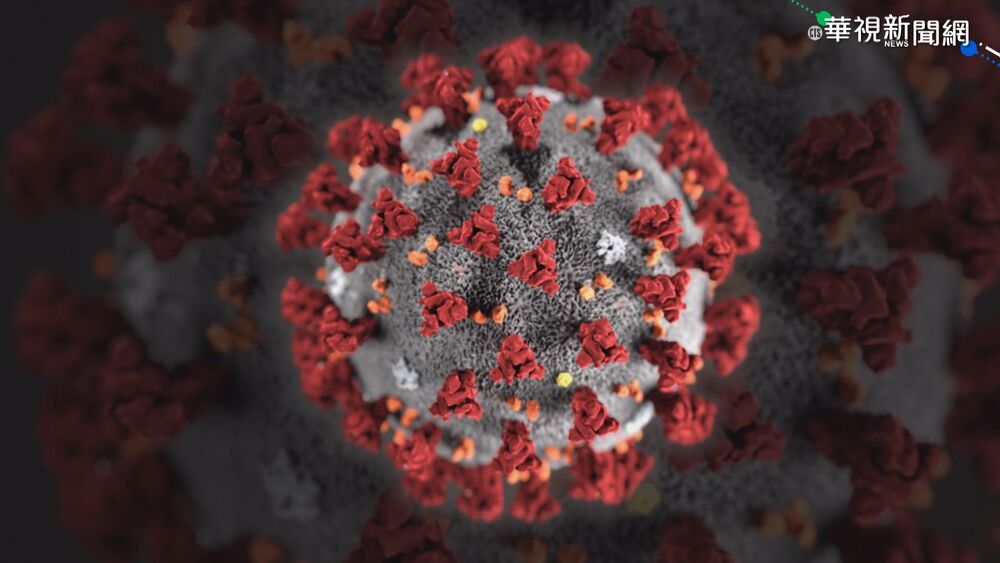 長新冠及重複確診者 慎防器官快速老化