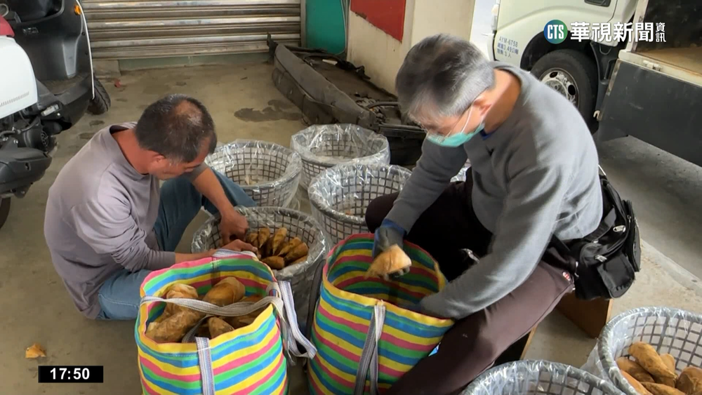 冬筍歉收價格飆漲　每公斤500元創20年新高