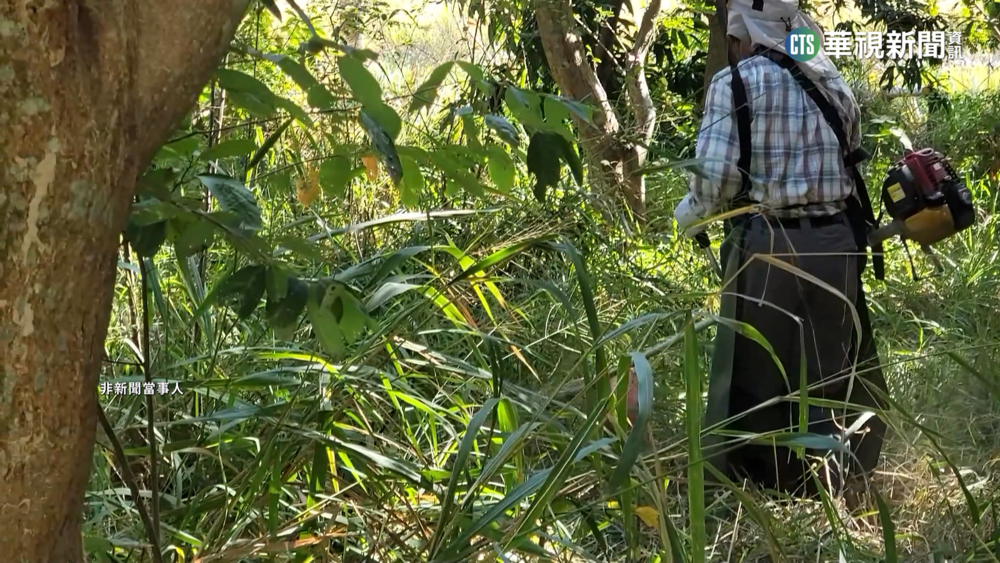 割草機擊中石頭　刀片飛噴差半公分刺心臟