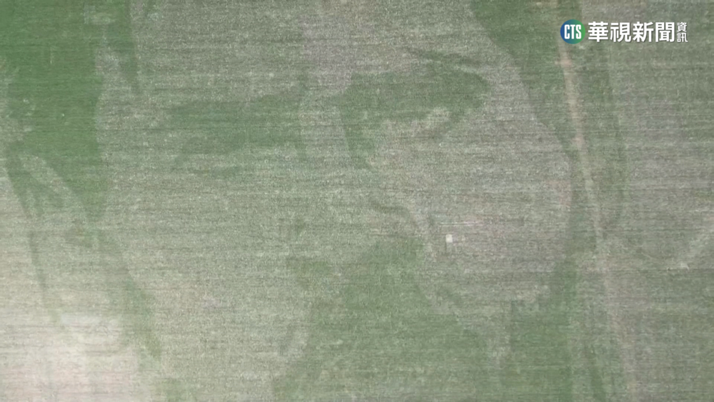 噴漆壁畫.玉米田肖像　阿根廷球迷致敬梅西！