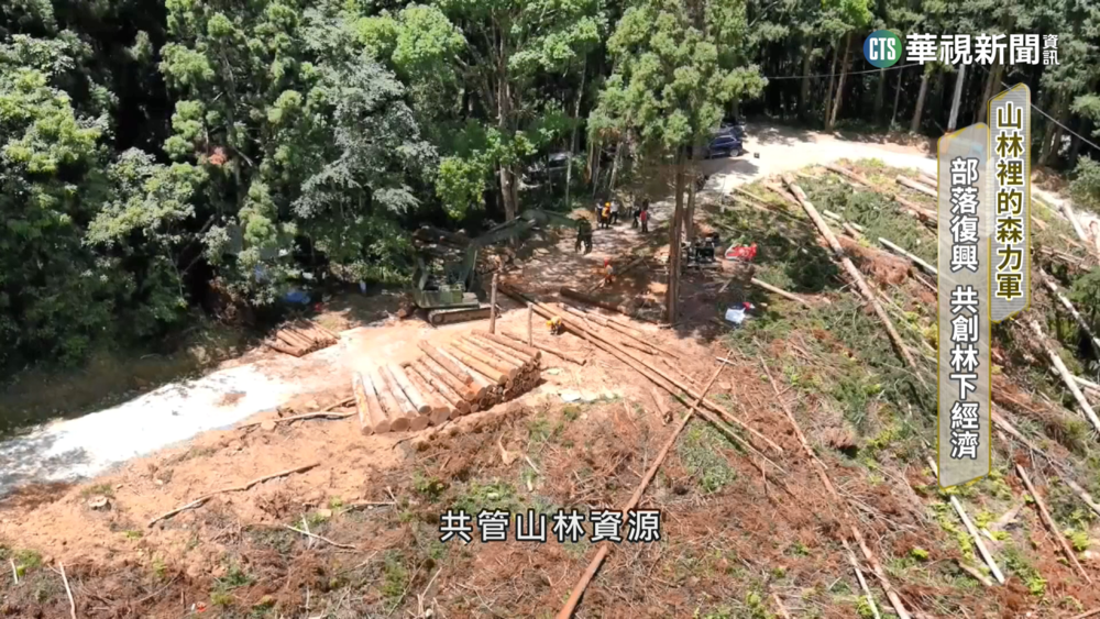 山林裡的「森力軍」！　拚部落復興　共創林下經濟