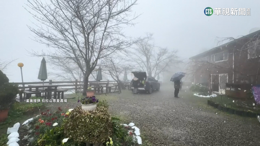 初三寒流發威　拉拉山午後降初雪　遊客樂壞！