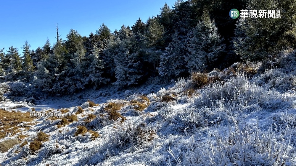 花蓮瑞穗林道飄雪了! 銀白世界美如仙境