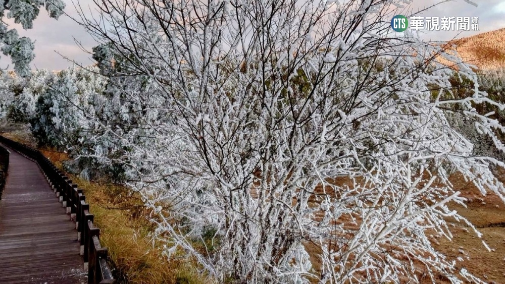 宜蘭太平山霧淞依舊 賞美景把握時機