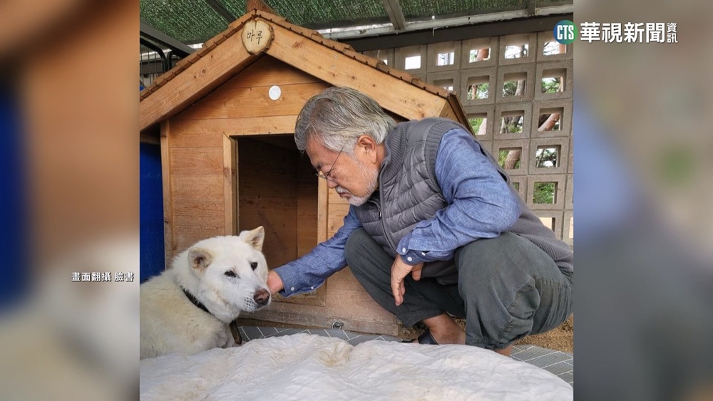 北韓贈豐山犬 尹錫悅.文在寅為飼養踢皮球