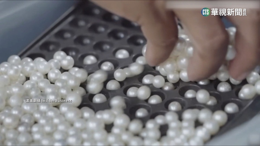 全球最大珍珠產地！　「龍目島」珍珠養殖業揭祕