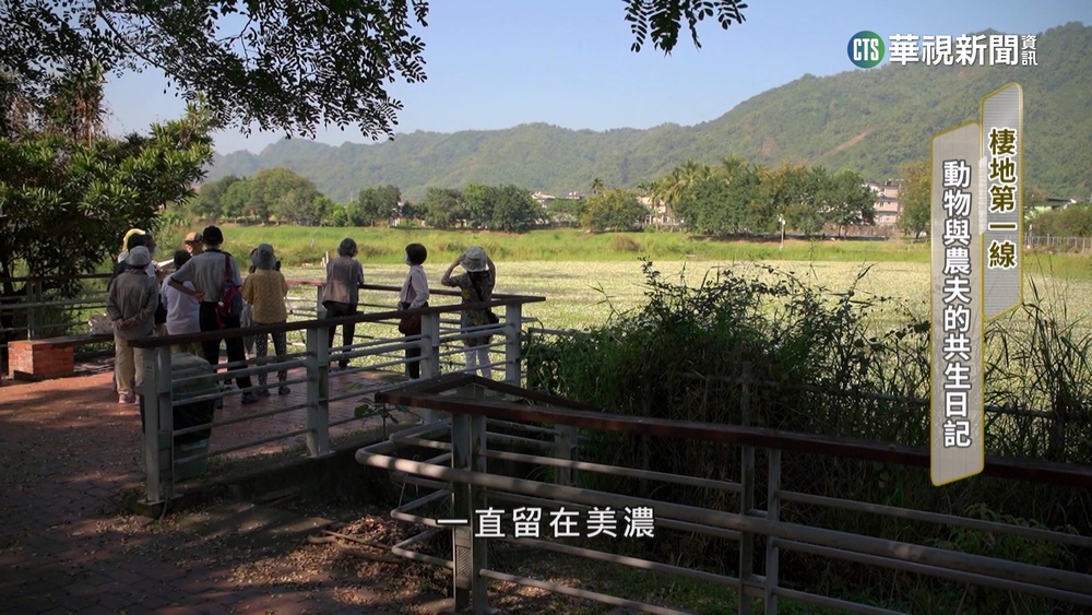 台灣棲地守護者！　動物與農民的共生日記