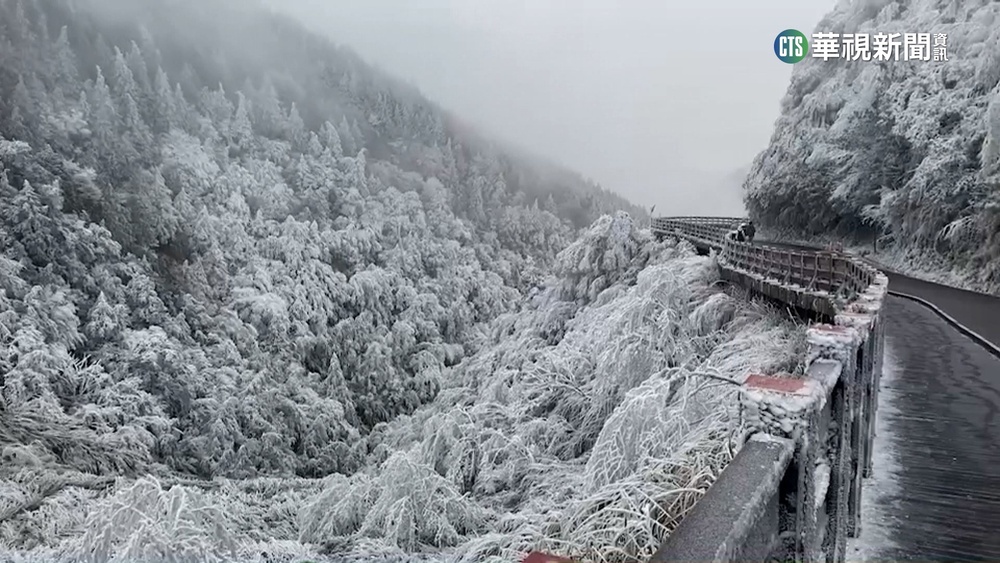 趕收假前朝聖太平山霧淞　排隊車龍綿延近2公里