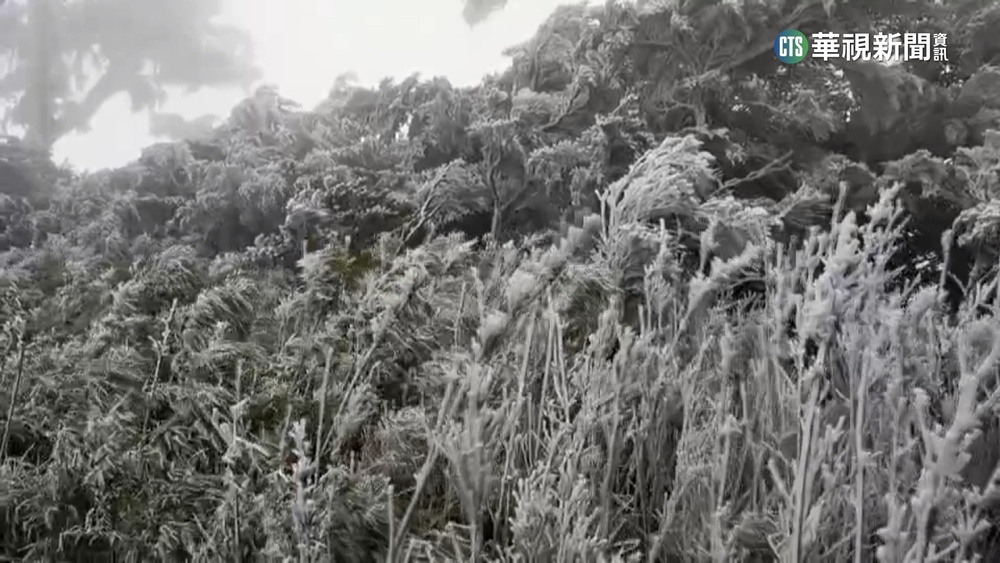 屏東北大武山結霧淞　網友大讚夢幻美景