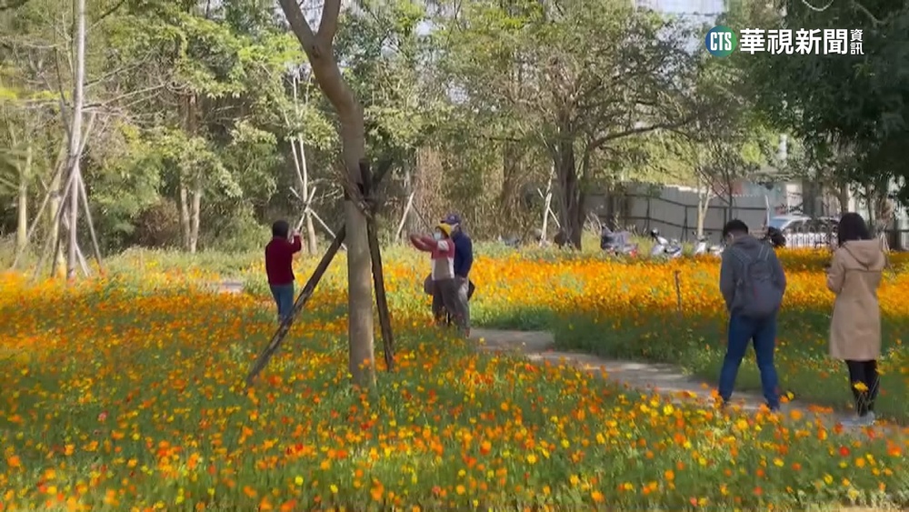 春節10天湧人潮　台南遊客數破逾千萬人次