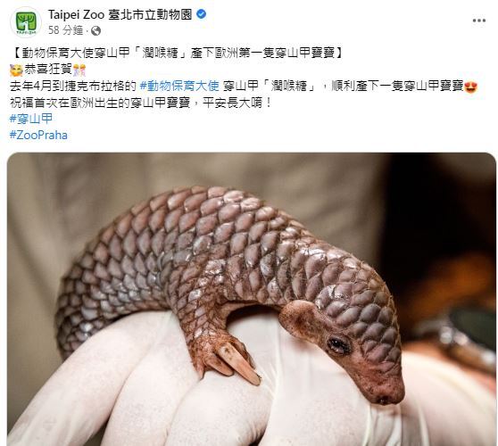 圖/翻攝自臺北市立動物園 臉書