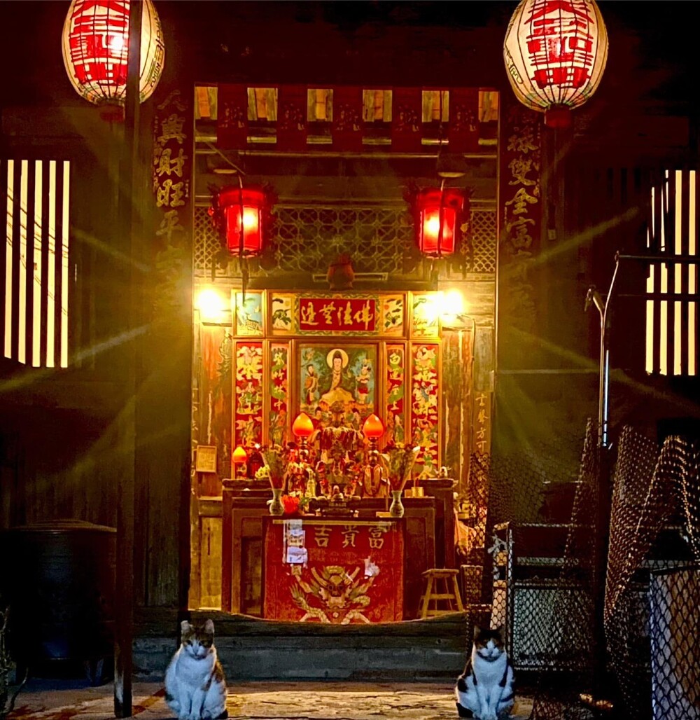 神明廳出現「2貓門神」超霸氣！萌翻一票網友：快給罐罐