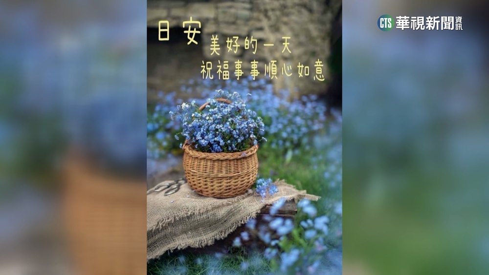 假警「長輩圖」問候破心防　詐獨居長者騙得千萬