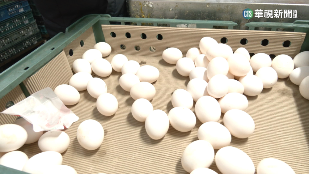 傳蛋價漲3元又喊卡　蛋商質疑農委會干預