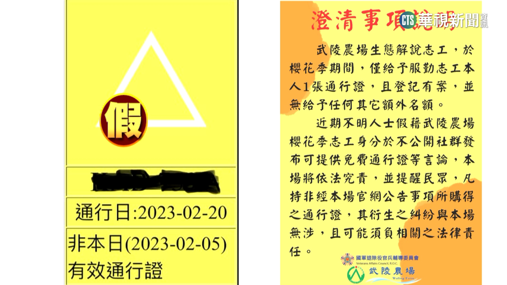 武陵櫻花季2/7登場　傳假冒志工稱可提供通行證