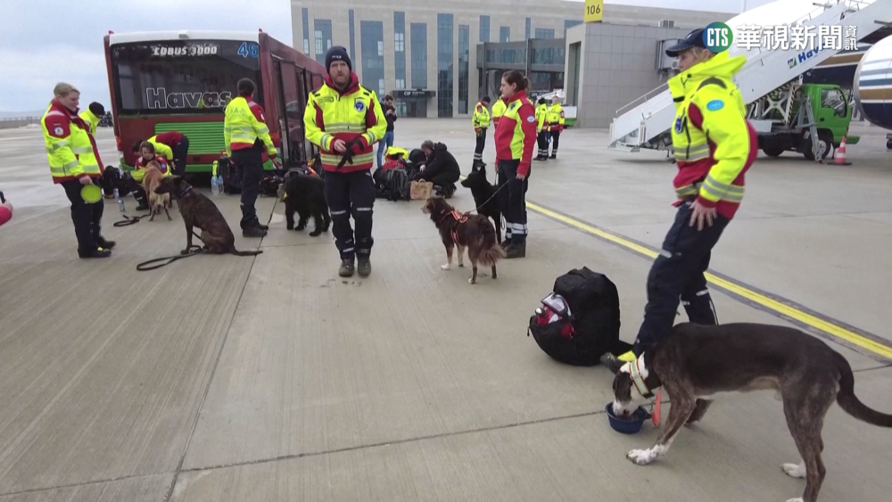 嗅覺靈敏機動性高　各國狗狗救難隊援土國搶命