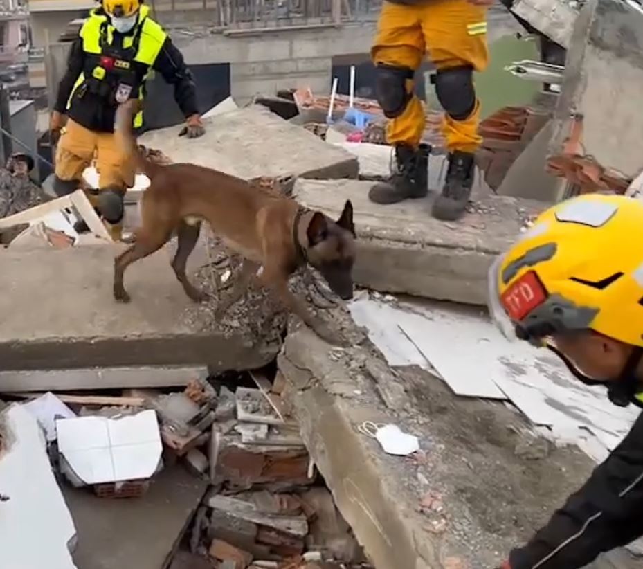 搜救隊抵達土國重災區！搜救畫面曝光 搜救犬吠叫聲燃起搜救希望