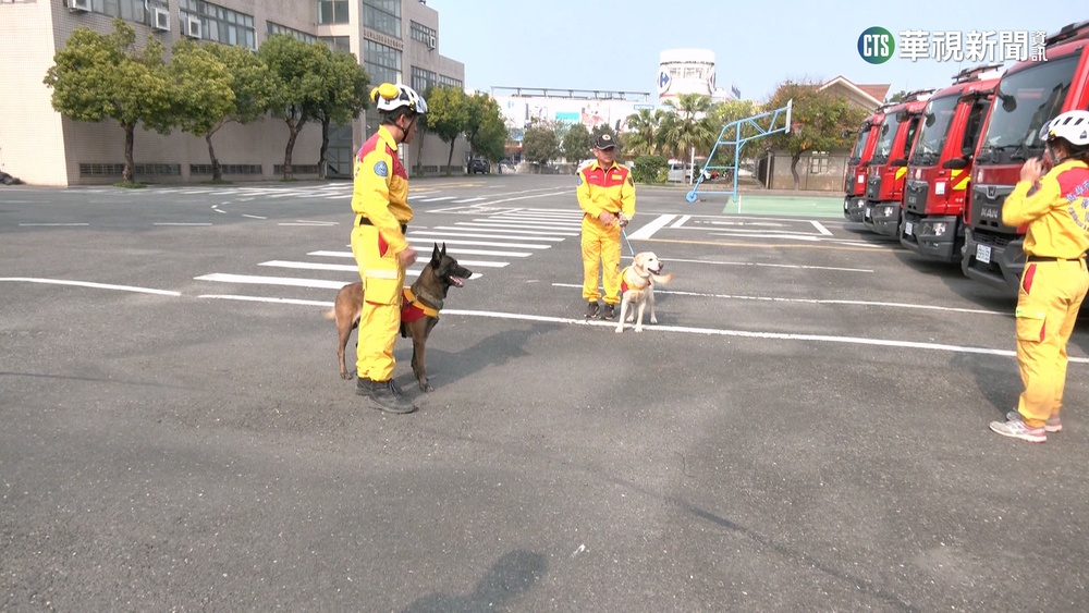 台灣搜救犬搭機救援　第一梯次關坐貨艙惹議