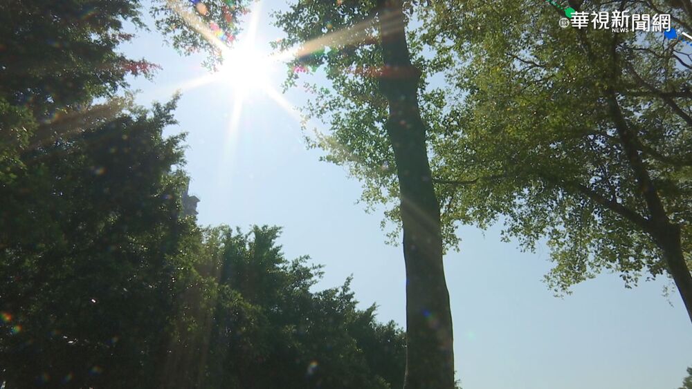 把握好天氣！周日以前氣溫偏暖 下周一大幅降溫至8度