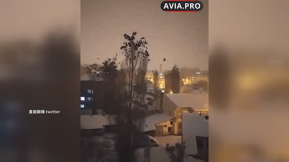 鳥群恐慌亂飛擠樹上　土國強震前影片引熱議