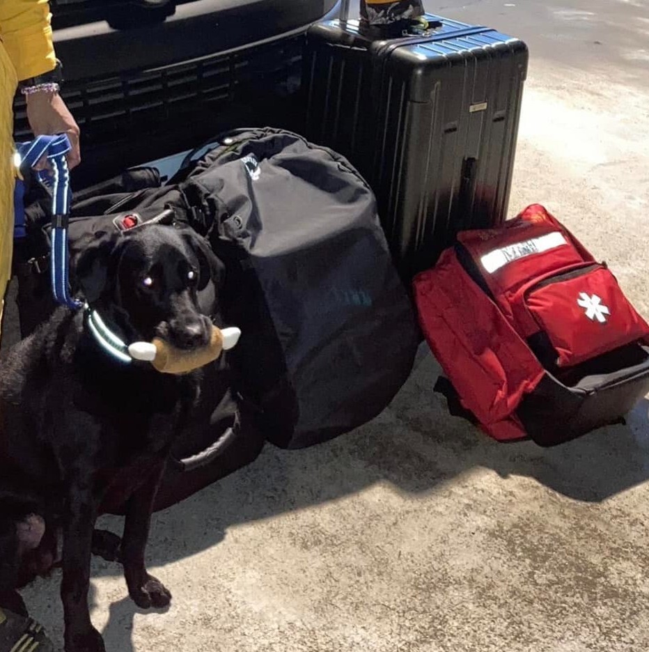 搜救犬咬雞腿被批「觀感不佳」 領犬員揭真相 霸氣喊話「我不會改」