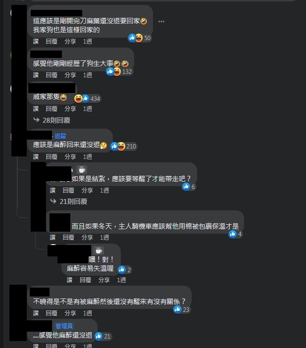 圖片翻攝自 臉書社團「路上觀察學院」