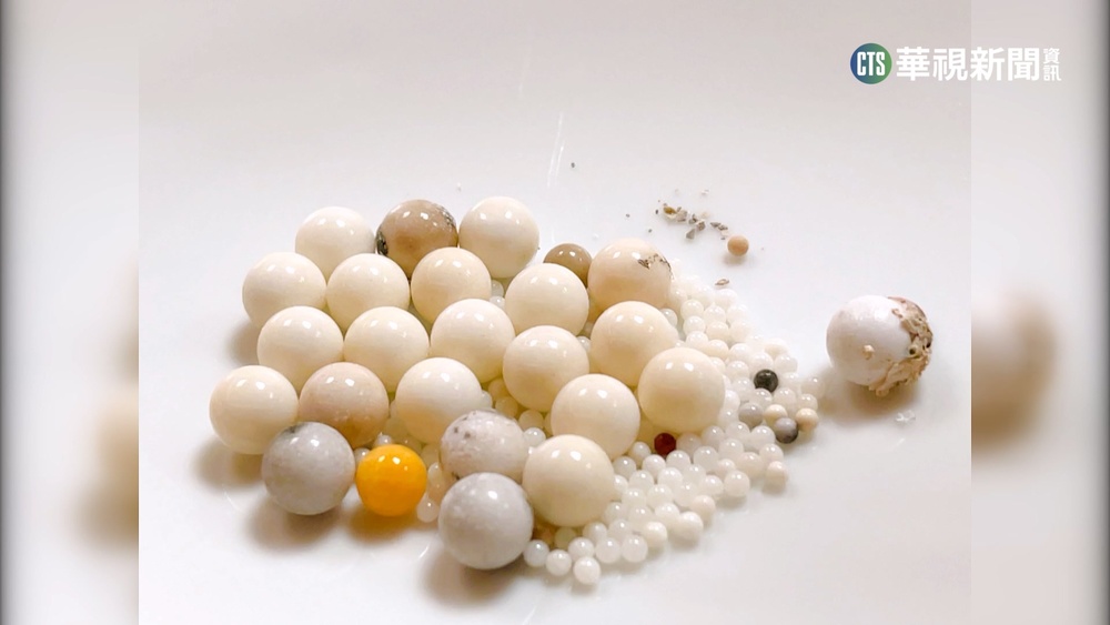 星雲大師燒出舍利子　佛光山:一生修持的成就