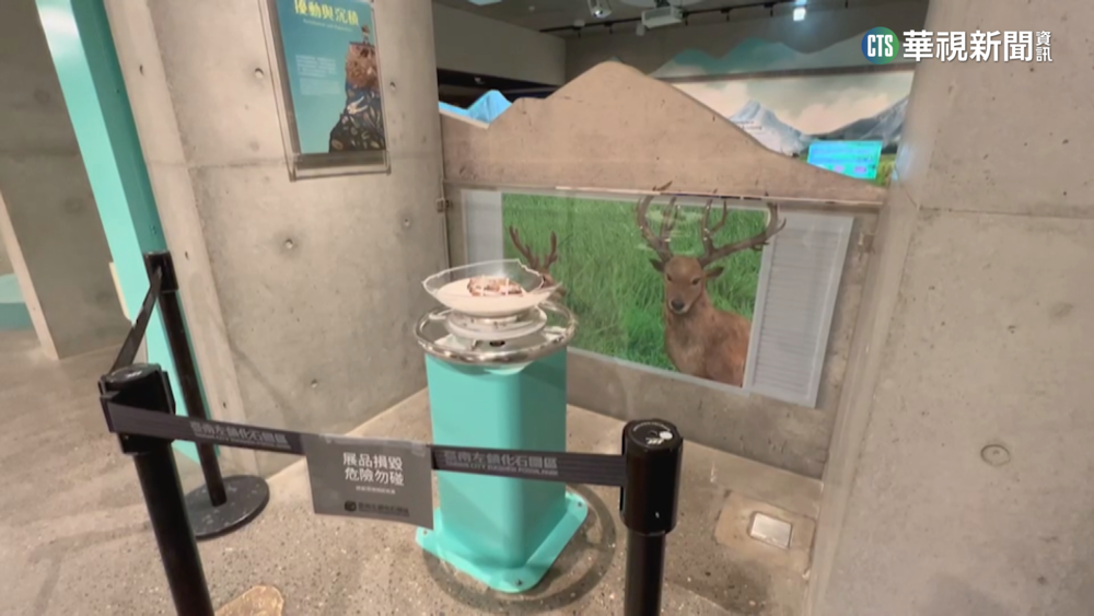 最壞示範！　台南化石園區設施遭男搖晃破壞