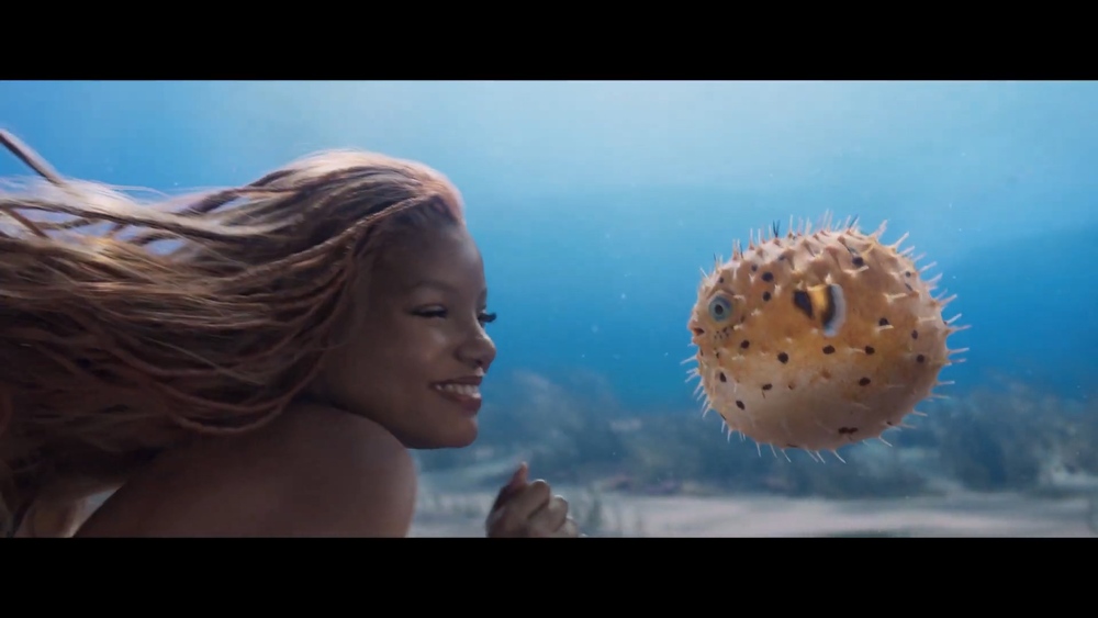 圖片翻攝自 YouTube