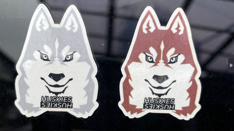 哈士奇也「照騙」？飼主自製「惡犬」貼紙落差大 網笑翻：本人比照片好看！