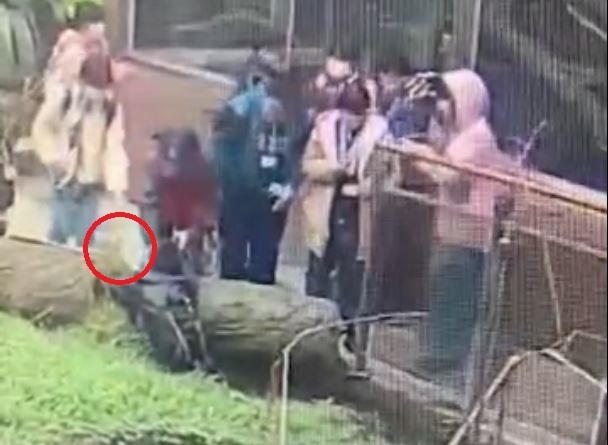 動物園發生落水意外 / 翻攝照片