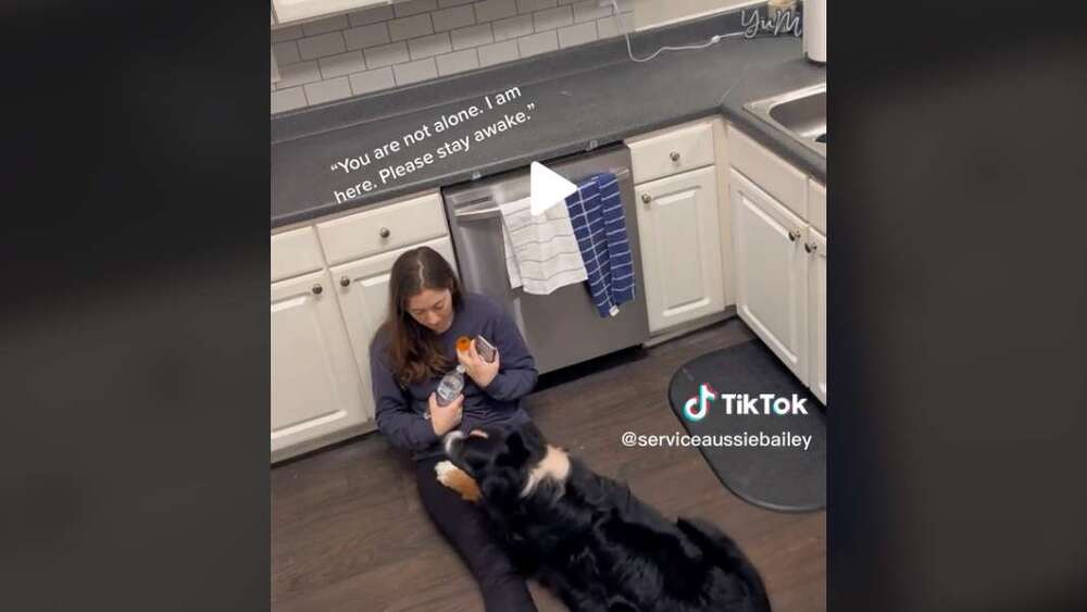 澳牧驚覺主人身體不適！秒拿藥遞水陪伴在側 影片曝光全網看哭了