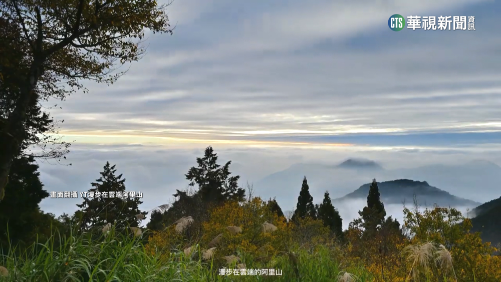阿里山"日出前"銀河 觀賞黃金周將登場