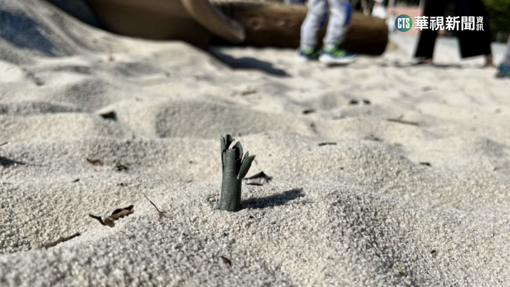 桃公園暗藏危機　童光腳玩沙遭尖物割傷