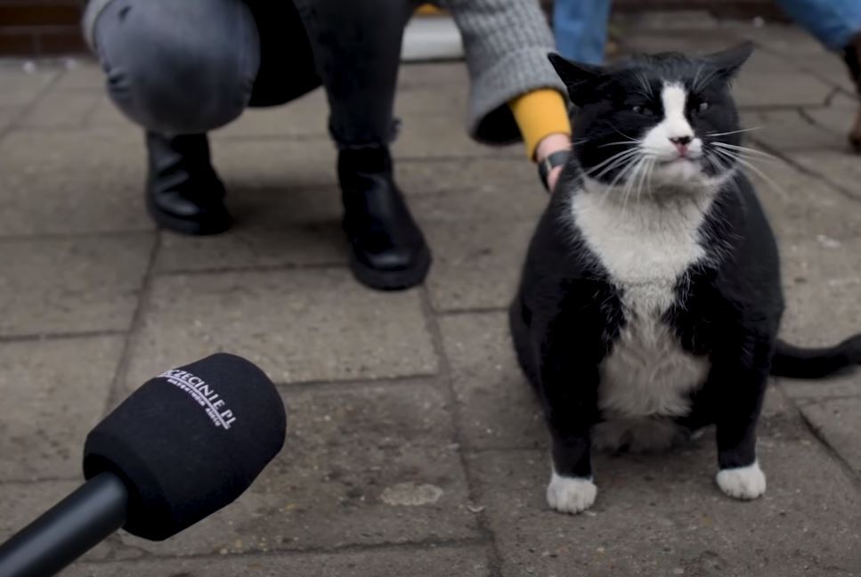 圖片翻攝自 wSzczecinie YouTube