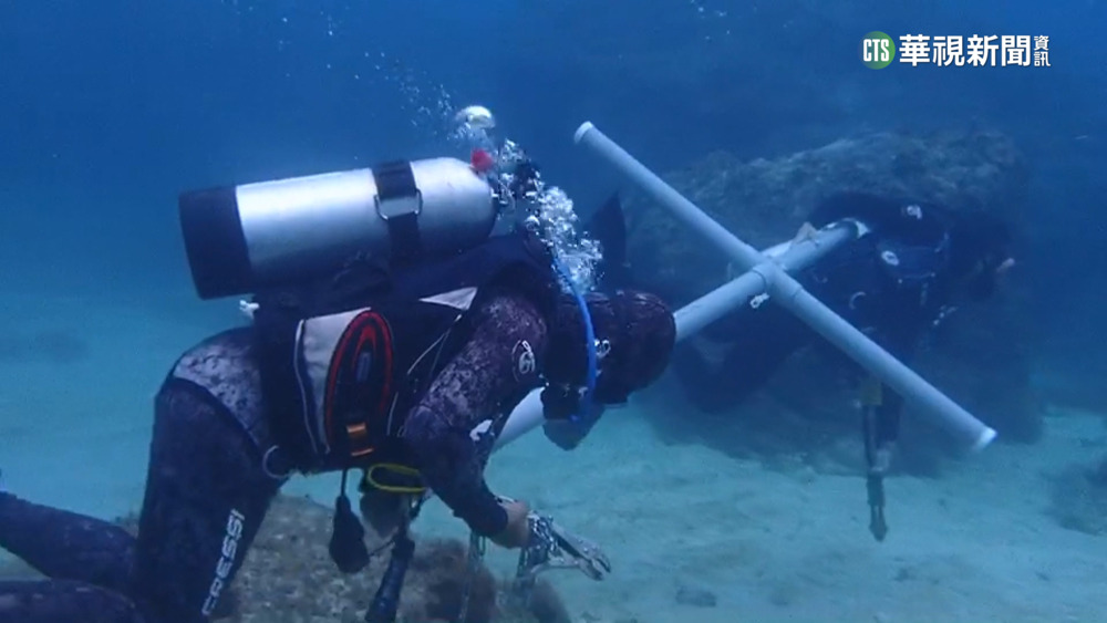 小琉球浮潛業者聯合漲價　21間業者挨罰235萬