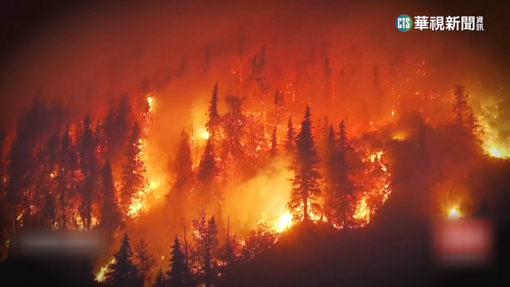 全球森林大火頻繁　罕見「殭屍野火」破壞力更大