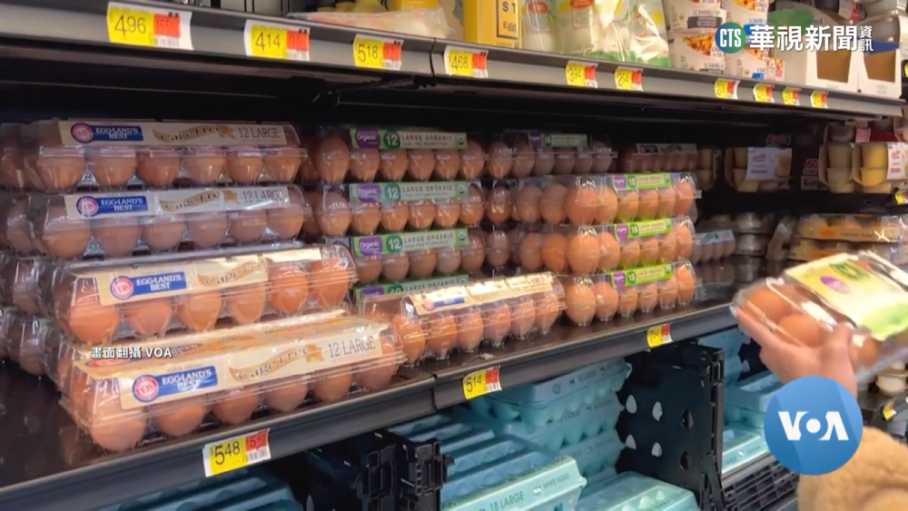 蛋價飆漲　美查獲墨西哥走私雞蛋數暴增4倍