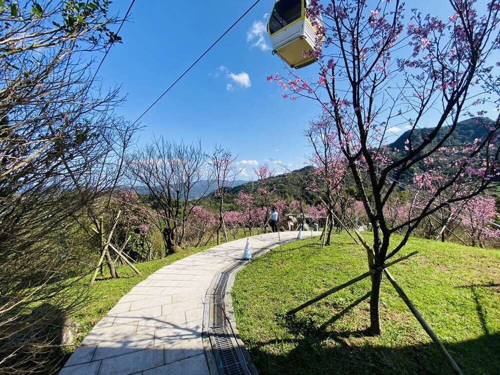 搭乘貓空纜車到指南風景區賞櫻（圖/翻攝自台北市政府官網）