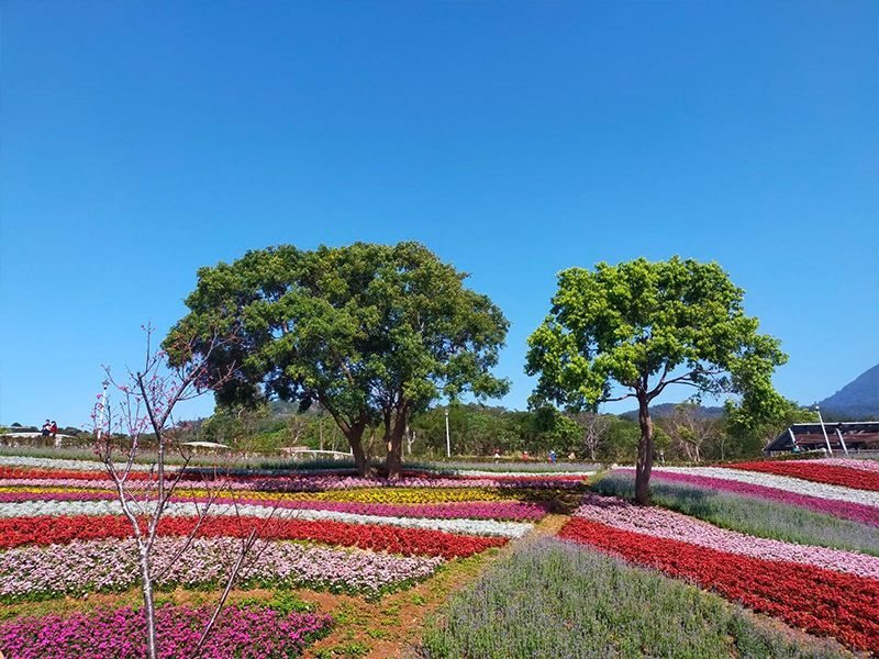 北投三層崎公園花海美景（圖/翻攝自台北市政府官網）