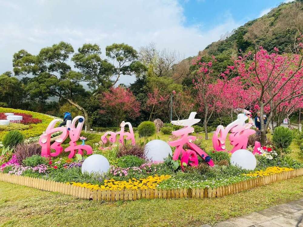 228連假台北旅遊攻略！室外賞花、室內看展　多項住宿優惠曝光