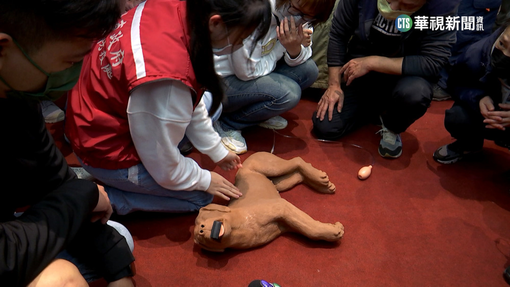 把握黃金3分鐘　新北動保處傳授「寵物CPR」